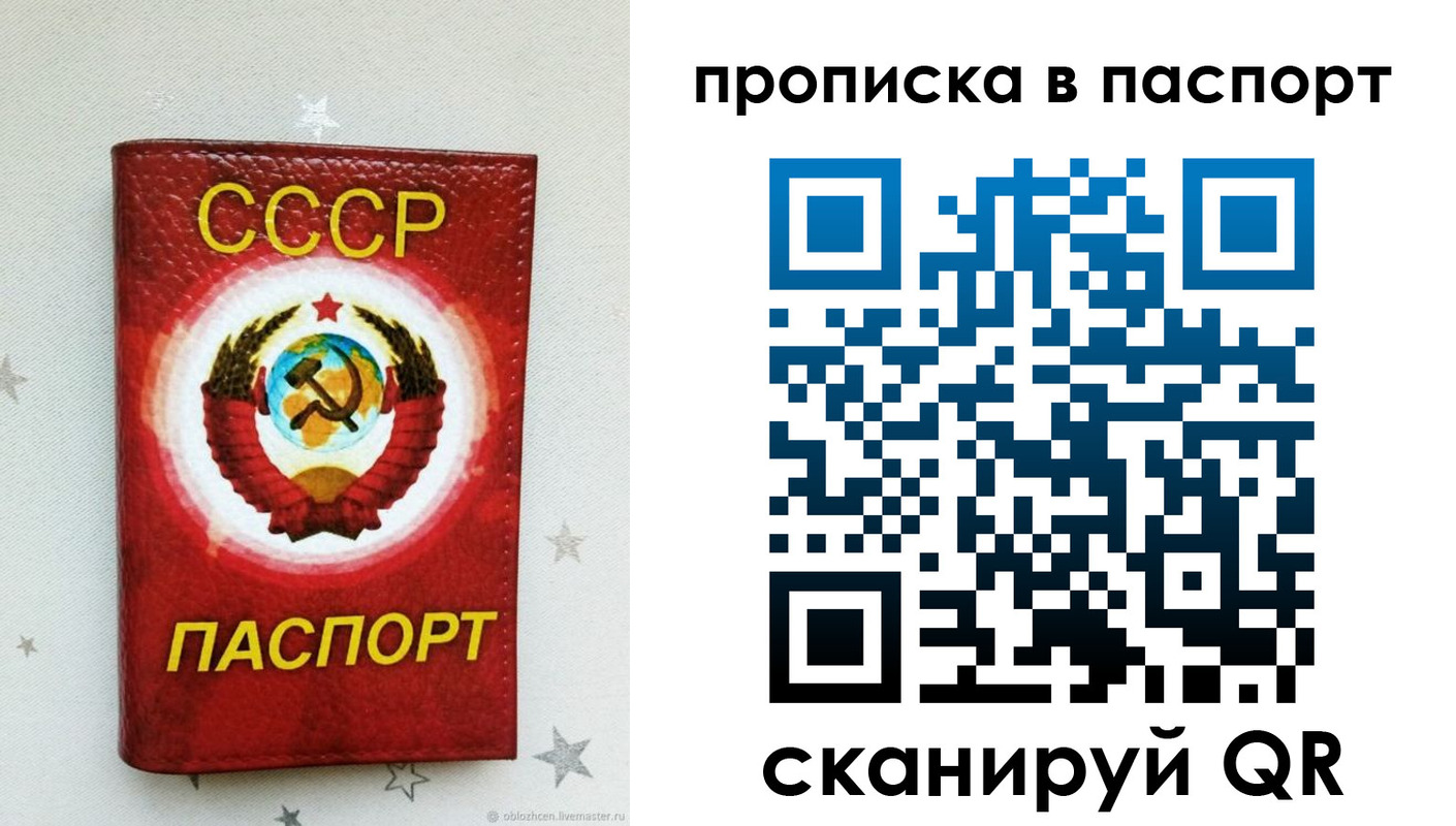 прописка иностранных граждан в Кингисеппе