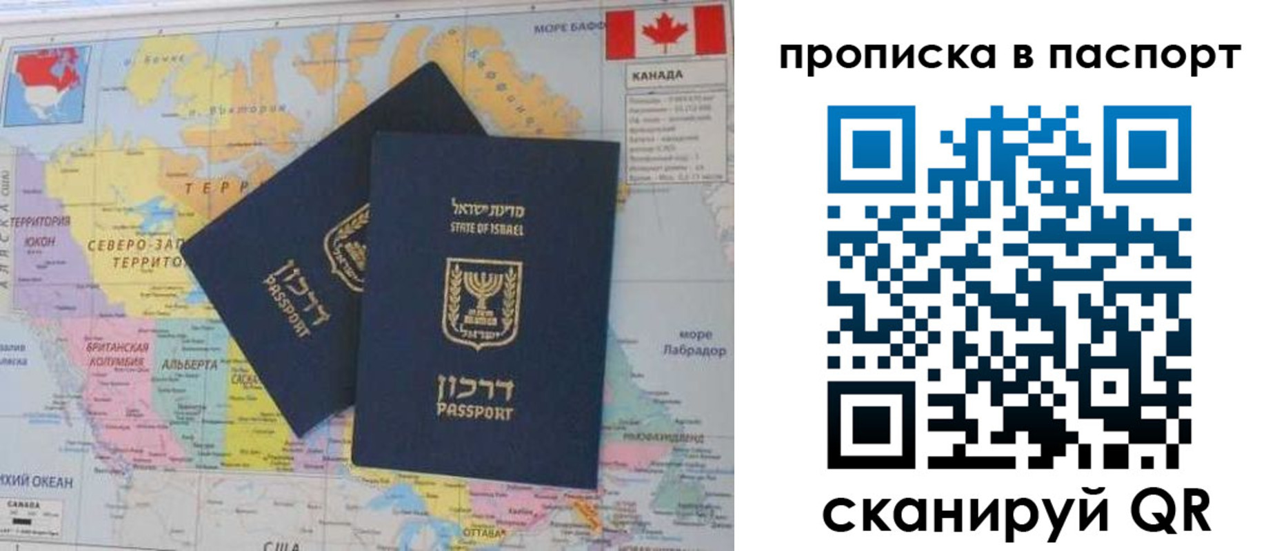 временная регистрация гарантия в Кингисеппе